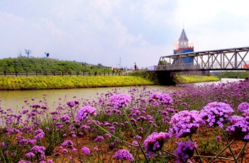 Video: Kangwang Valley Flower World