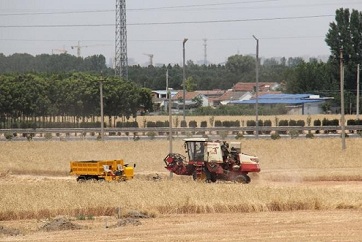 Farm equipment ensures highly efficient wheat harvests in Jining