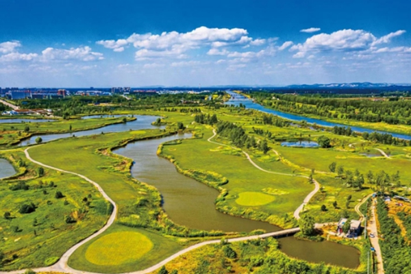 Jining preserves wetlands to accelerate ecological construction
