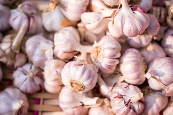 Jinxiang county leads global garlic industry