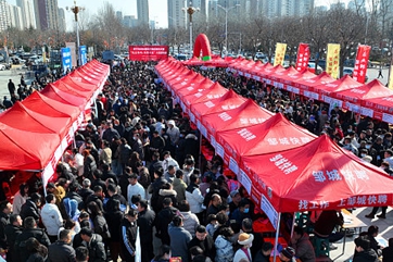Jining job fair attracts over 500 attendees