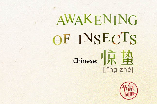 24 Solar Terms: 6 things you must know about Awakening of Insects