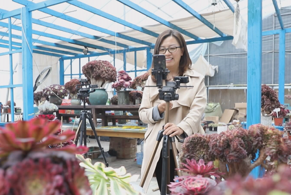 Woman turns budding interest in plants into blossoming business