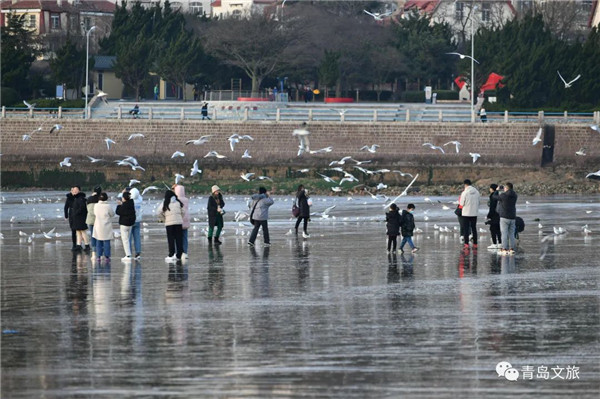 Qingdao hosts 253 themed activities during winter season