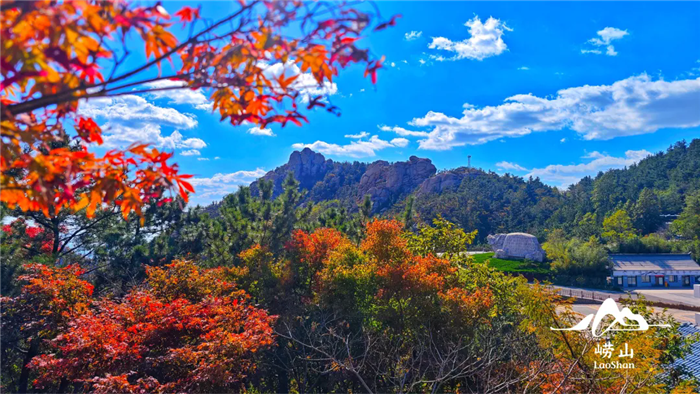 Red leaf festival kicks off at Laoshan