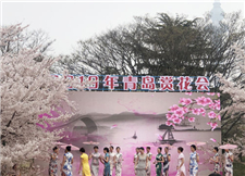 Floral wonderland opens to public in Shinan