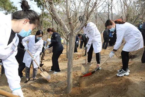 Volunteer tree planting activity held in Shinan