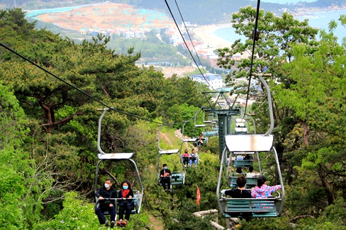 Qingdao receives over 2.36 million tourists during May Day holiday