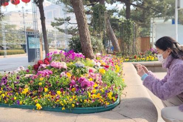 Zhanqiao Pier scenic spot to build more attractive environment