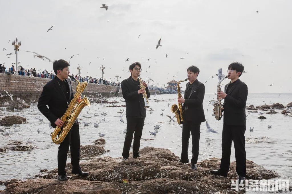 Play harmonious melodies with seagulls in Shinan