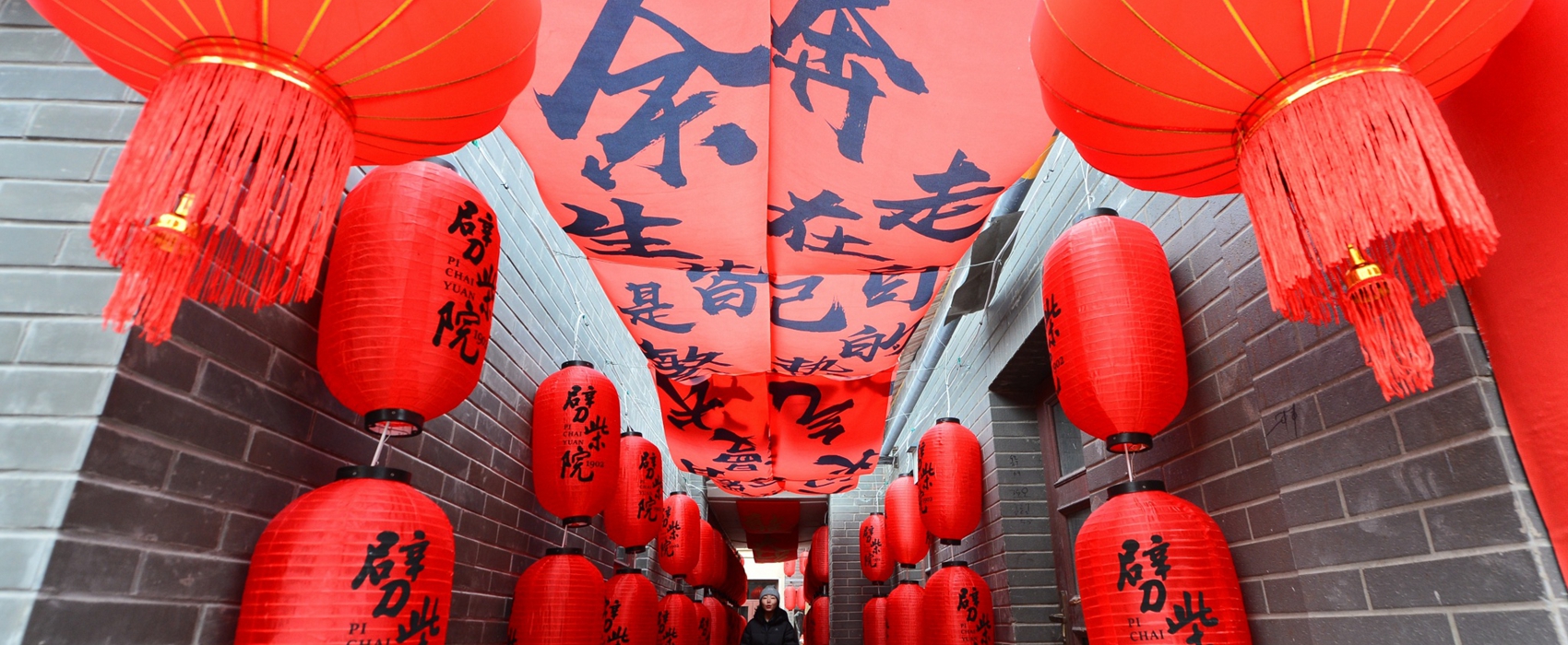 Celebrate Chinese New Year – Shinan style