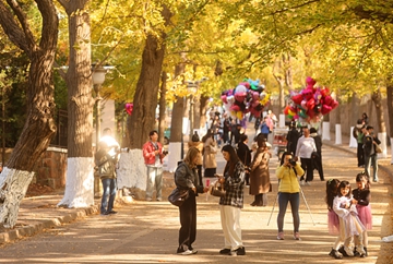 Badaguan Scenic Area thrives in Qingdao's autumn glory