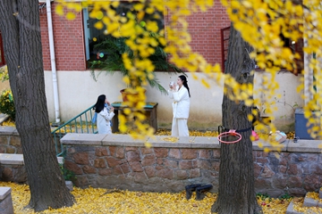 Shinan's centennial courtyard becomes golden photo spot