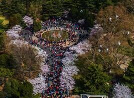 Floral wonderland in Qingdao awaits visitors 