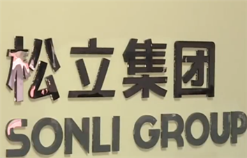 Sonli Group