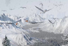 Video: Watch seagulls in Qingdao