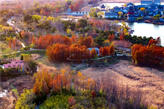 Winter splendor at Tangdao Bay Wetland Park in Qingdao