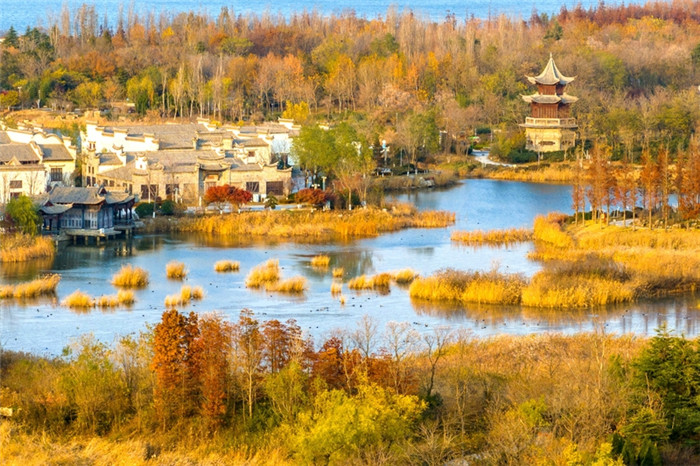 Winter splendor at Tangdao Bay Wetland Park in Qingdao