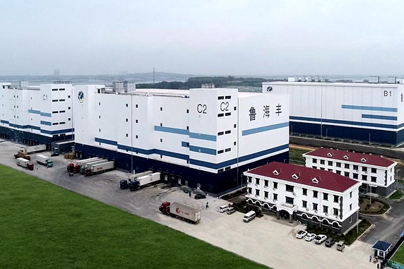 Qingdao promotes cold chain logistics facility construction