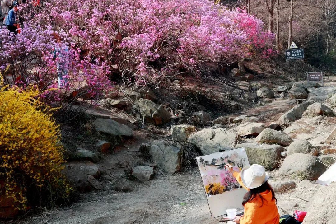 Experience the vibrant beauty of spring in Qingdao this March