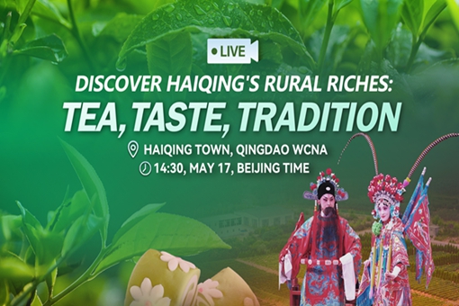 Live: Discover Haiqing's rural riches: Tea, taste, tradition