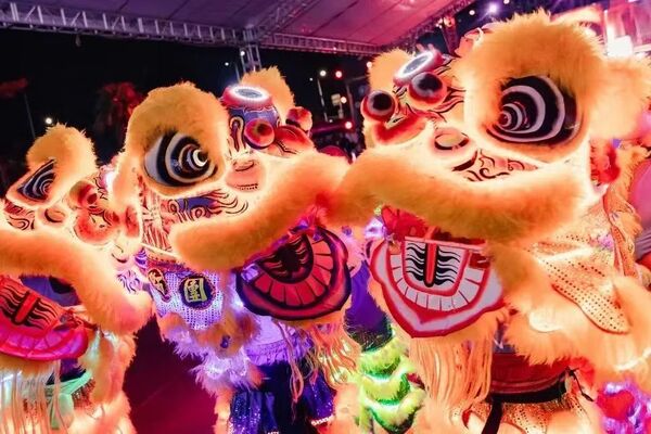 Zhuhai subdistrict's festive extravaganza blends tradition, modernity