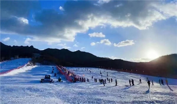 Shandong cities teeming with Winter Games fervor