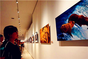 Photo exhibition on Silk Road held in Shandong