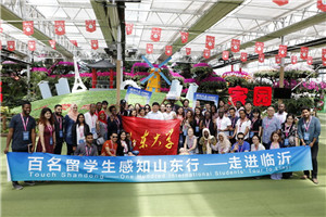 Marvels of Linyi culture charm overseas students