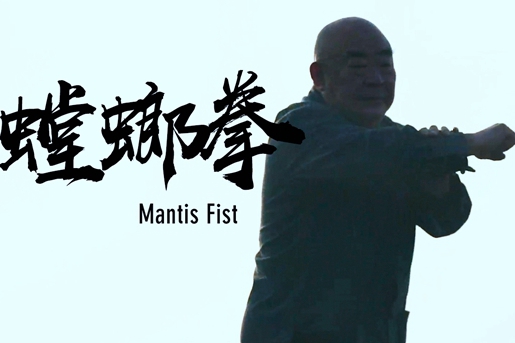 Mantis Fist: Routines in martial arts reflect the philosophy of life