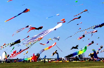 Intl kite festival kicks off in East China's Shandong