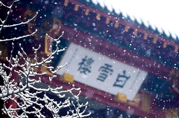 Video: Stunning snowy view of Jinan 