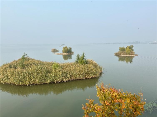 Tai'an advances ecological conservation, high-quality development in Yellow River Basin