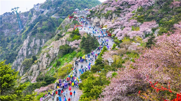 Taishan Mountain aims higher in 2025