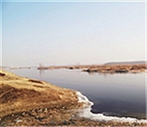 Tai'an sees ecological benefits of man-made wetlands