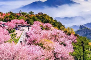 Beauty of Mount Tai
