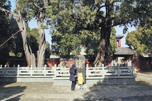 Mount Tai revered for centuries as the closest point to heaven