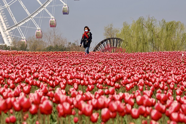 Qingming festival boosts recovery of Tai'an's tourism industry