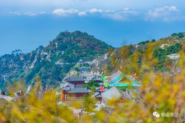 Autumn scenery captured on Mount Tai