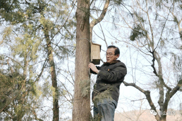 Bird nests installed to provide more habitats on Mount Tai