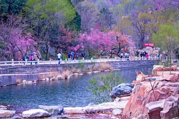 Tai'an sees tourism boom during Qingming Festival