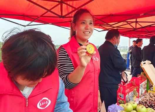 Taishan district hosts kiwi fruit picking festival