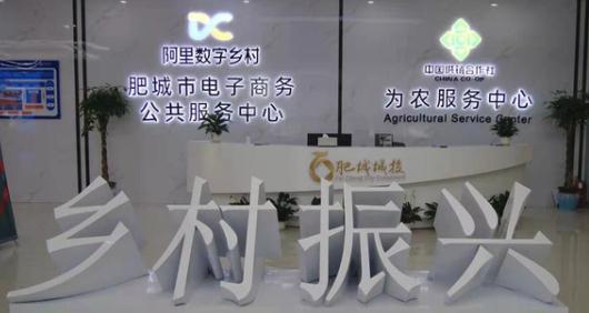 Alibaba digital village origin warehouse a boom for Feicheng