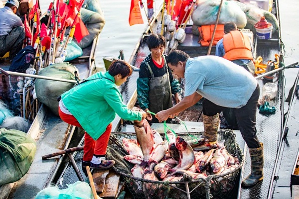 Fishing season starts at Dongping Lake