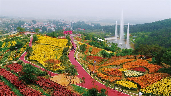Lily flower festival to kick off in Xintai