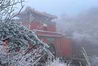 Video: Magnificent frost rime appears on Mount Tai