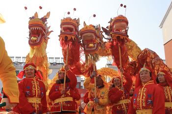 Tai'an kicks off rural festival