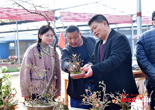 Initial flower, tree expo held in Tai'an