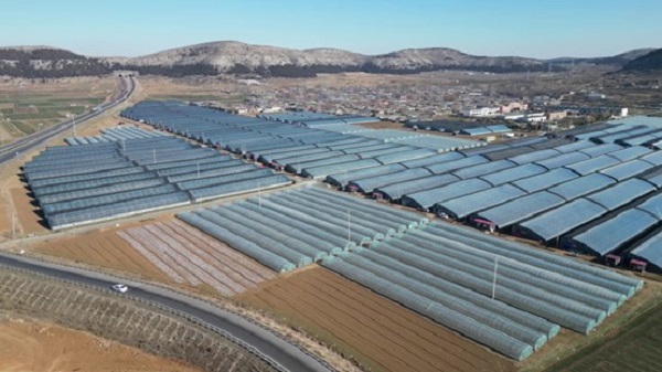 Greenhouses boost rural economy in Dongping 