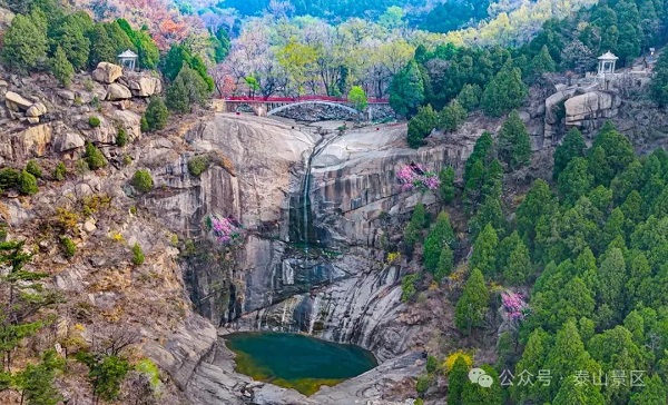 Video: Embrace spring at foot of Mount Tai